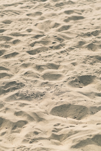 Vertical shot of a sandy beach