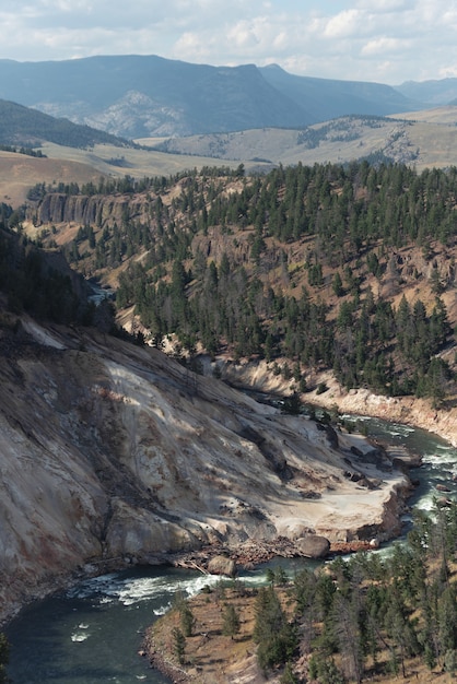 Free photo vertical shot of scenery in yellowstone national park, wyoming, usa