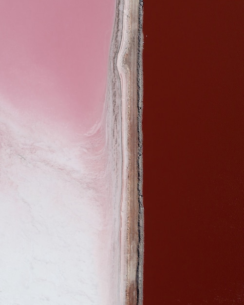 Free photo vertical shot of shades of pink next to each other divided by a line