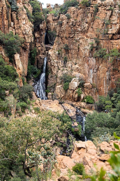 Vertical shot of a small waterfall in a forest