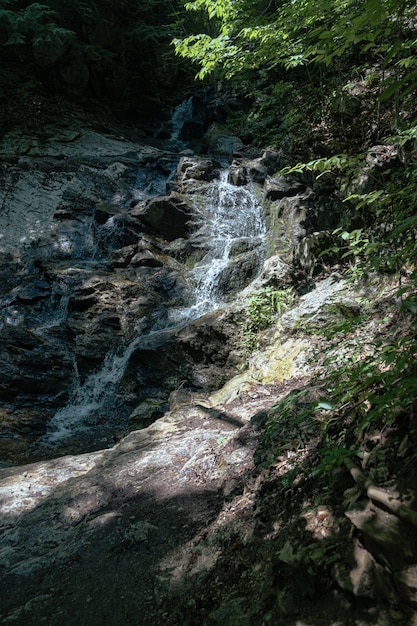 Free Photo vertical shot of a small waterfalls in the woods