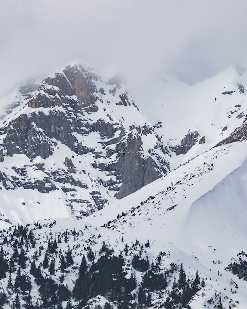 Vertical shot of the snowy peaks of the mountains under the cloudy sky