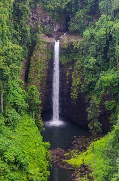 Free photo vertical shot of the sopo'aga waterfall surrounded by greenery in the upolu island, samoa