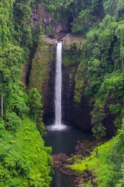 Vertical shot of the Sopo'aga Waterfall surrounded by greenery in the Upolu Island, Samoa