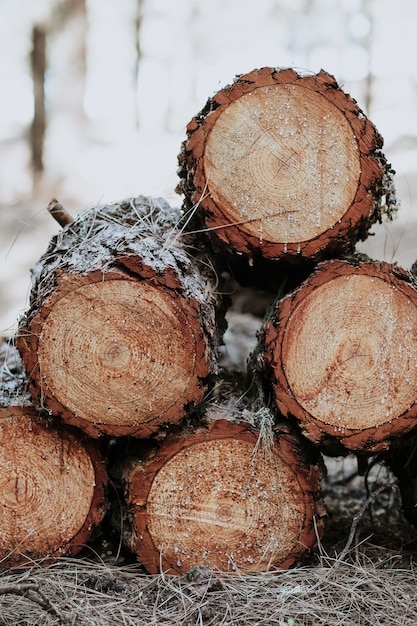 Free Photo vertical shot of a stack of wood logs