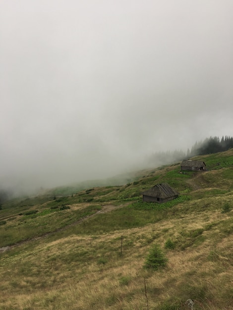 Free Photo vertical shot of a steep beautiful hill with small wooden houses on it covered in fog