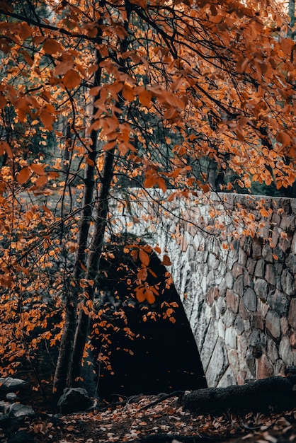 Free photo vertical shot of a stone bridge and a tree with orange leaves in autumn