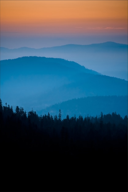 Free photo vertical shot of sunrise with beautiful pastel shades of blue and orange