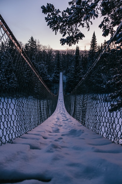 Free photo vertical shot of a suspension bridge heading to the beautiful fir tree forest covered with snow