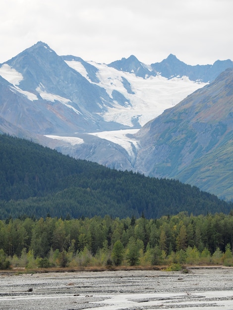 Free photo vertical shot of the tree-covered field and snowy mountains uring the daytime