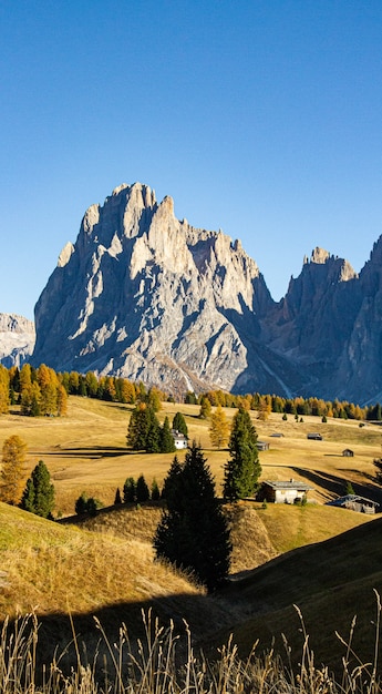 Vertical shot of trees and buildings on hills with mountains in the distance in dolomite Italy