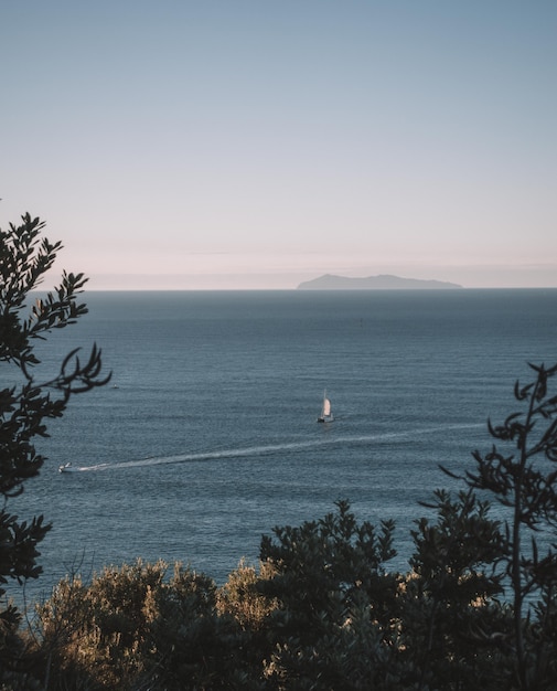 Free photo vertical shot of trees near the sea with boats and a clear sky