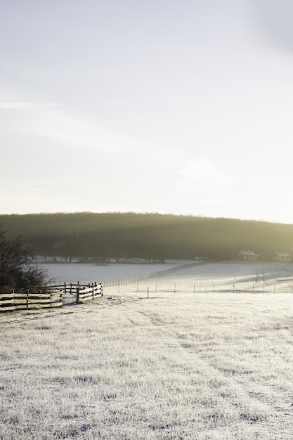 Vertical shot of a valley covered with snow and the light of the sun in winter