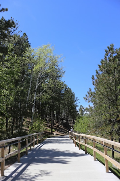 Vertical shot of a walkway with wooden fence in the middle of the forest