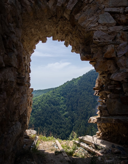 Vertical shot of a wall opening with the beautiful view of a tree forest in the background