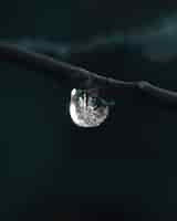 Free photo vertical shot of a water droplet freezing