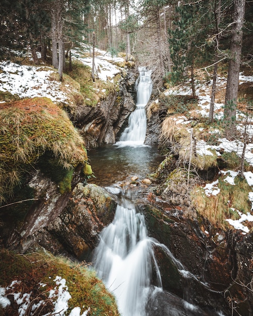 Free photo vertical shot of waterfall cascades in the middle of the forest in winter