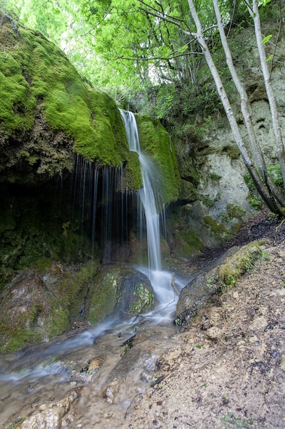 Vertical shot of a waterfall in the middle of the forest in the Eiffel region, Germany