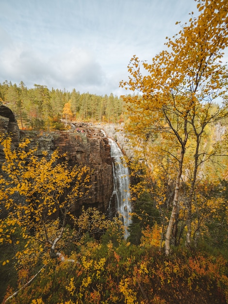 Vertical shot of a waterfall surrounded by a lot of trees with autumn colors in Norway