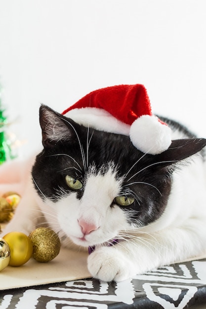 Free Photo vertical shot of white and black cat with christmas santa claus hat with ornaments on a table