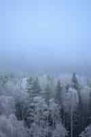 Free photo vertical shot of wonderful frozen trees on a foggy day