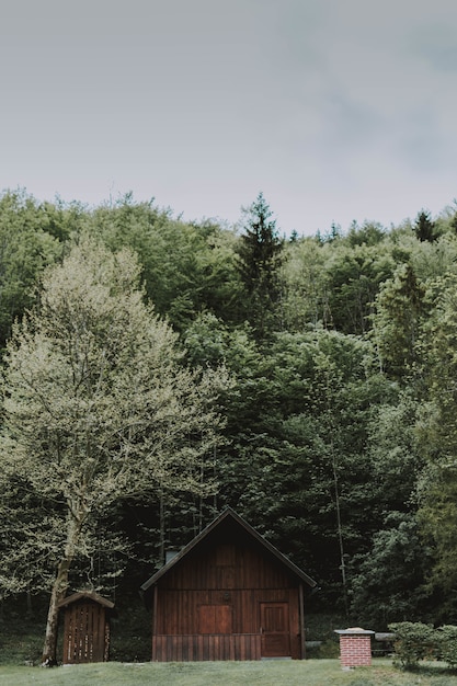 Free photo vertical shot of a wooden barn surrounded by trees under a cloudy sky at daytime