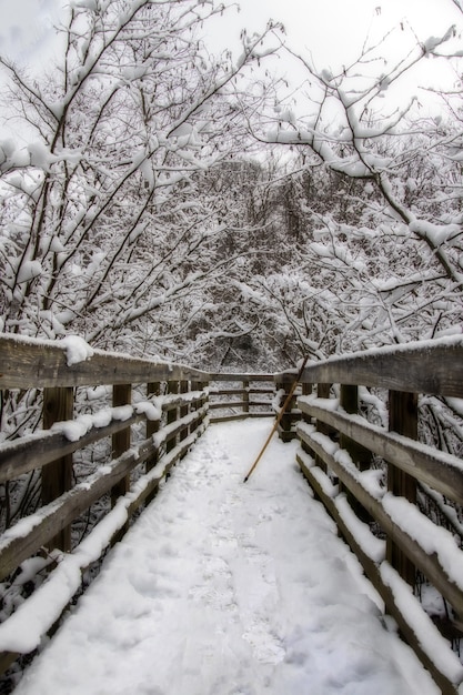 Free photo vertical shot of a wooden bridge in the middle of snowy trees in the winter