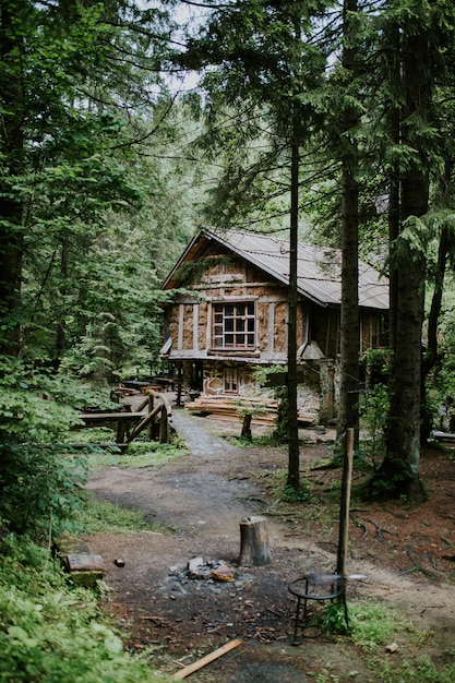 Free photo vertical shot of a wooden cabin in the woods surrounded by tall trees on a sunny day