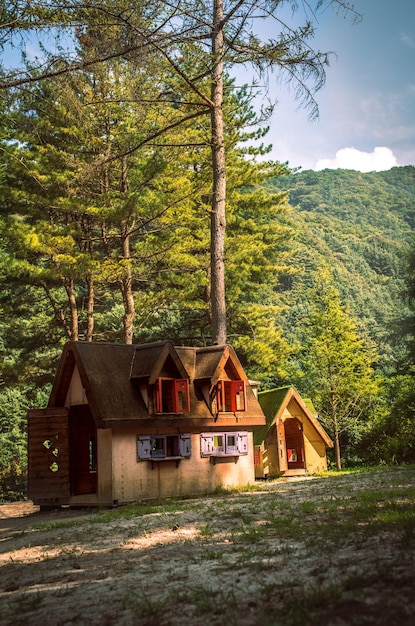 Vertical shot of wooden cabins in a forest covered in greenery in South Korea