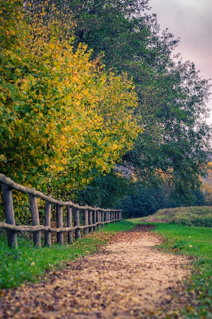 Vertical shot of a wooden fence and a path in an autumn park