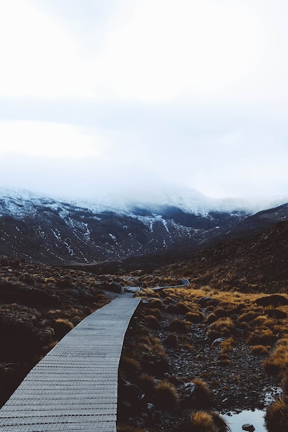 Free Photo vertical shot of a wooden pathway with the snow covered mountains