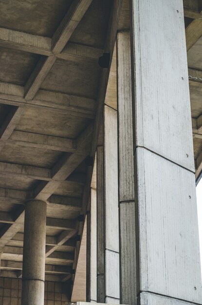 Vertical shot of wooden pillars