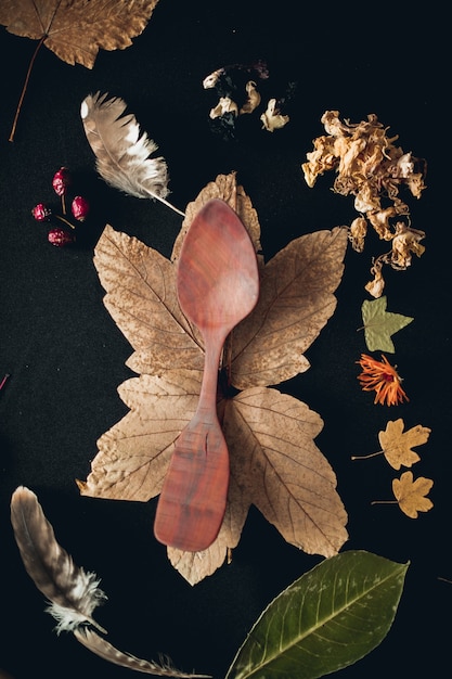 Free Photo vertical shot of a wooden spoon surrounded with different plants leaves and feathers