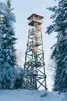 Free photo vertical shot of a wooden watchtower among the snow covered trees