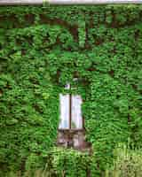 Free photo vertical shot of a wooden window surrounded by green plants