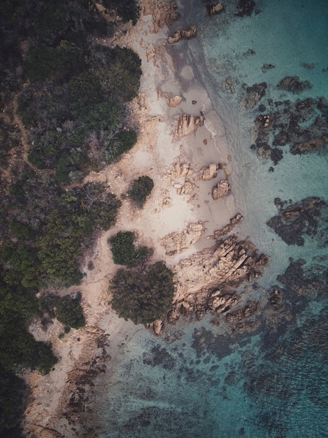 Free Photo vertical top view of a rocky sea shore with trees