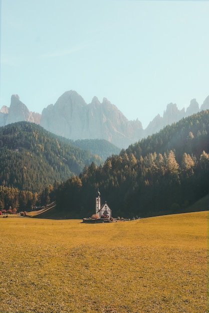 Free Photo vertical view of a beautiful building on a dry grassy field surrounded by forested mountains