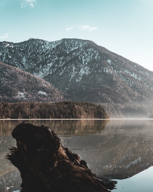 Vertical view of a lake and a mountain covered with trees and snow