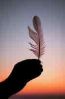 Free photo vertical view of a person holding a feather during the sunset