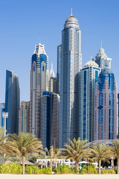 Free photo vertical view of skyscrapers and palm trees in dubai. uae