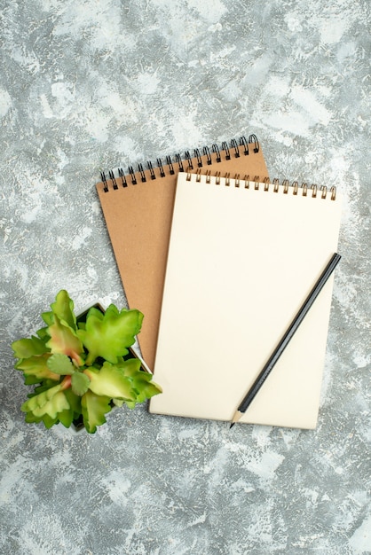 Free photo vertical view of two kraft spiral notebook with pen and flower pot on ice background