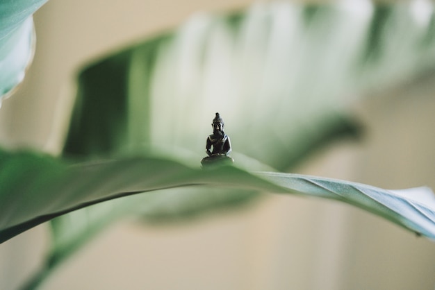 Free photo very small buddha statue set on a large plant leaf