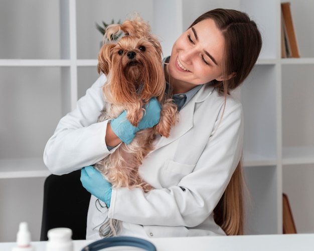 Veterinarian check-ing puppy's health