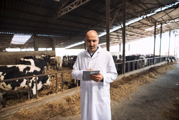 Veterinarian doctor typing on a tablet health status of cattle at cows farm