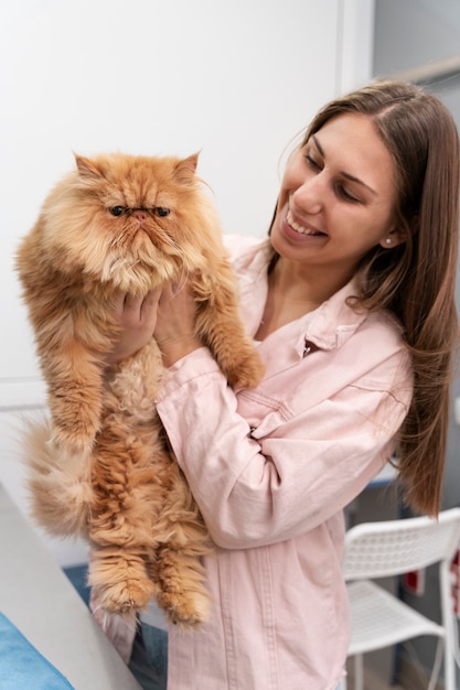 Veterinarian taking care of pet