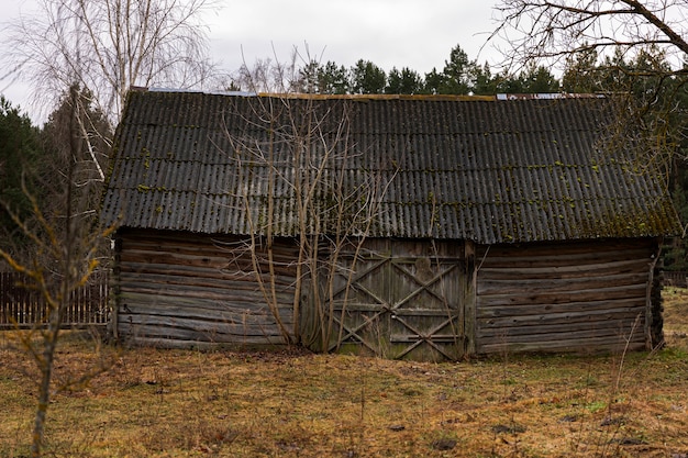 Free Photo view of abandoned and decaying house in nature