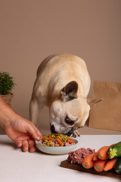 Free photo view of adorable dog with bowl of food