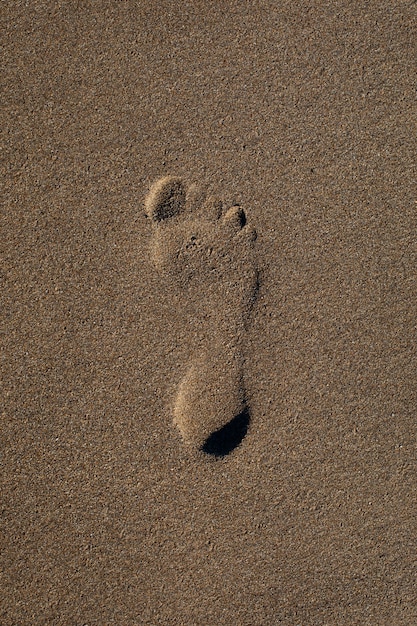 Free Photo view of beach sand in summertime with footprint