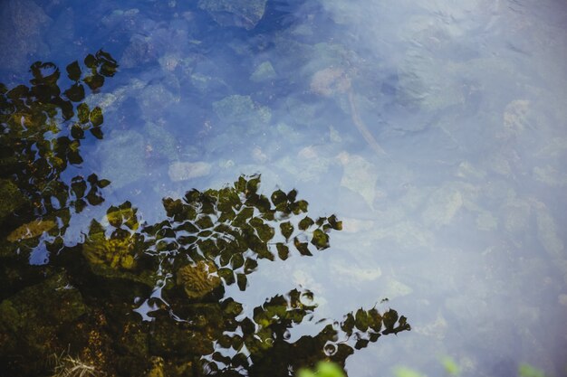 View of branch and sky