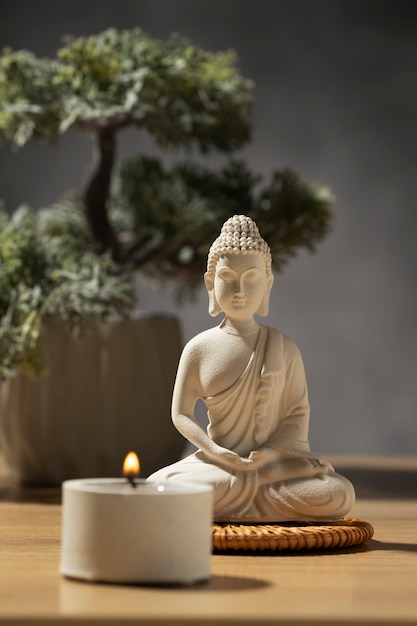 View of buddha statuette with bonsai tree